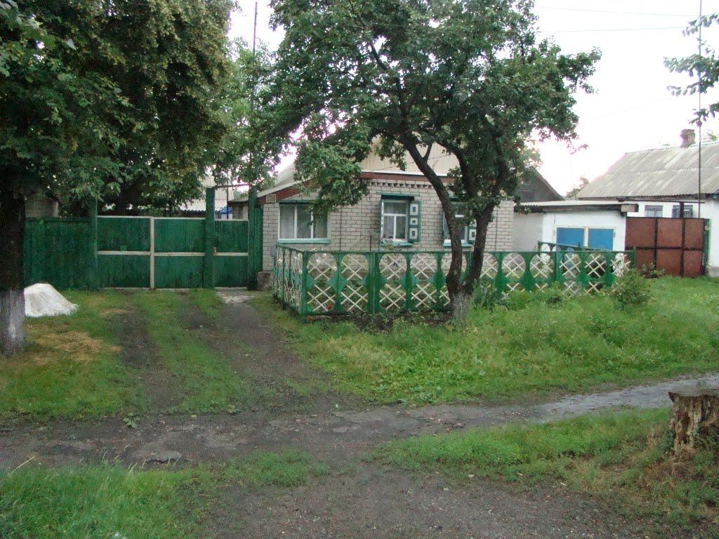 Чорнухине з panoramio.com - Чорнухине