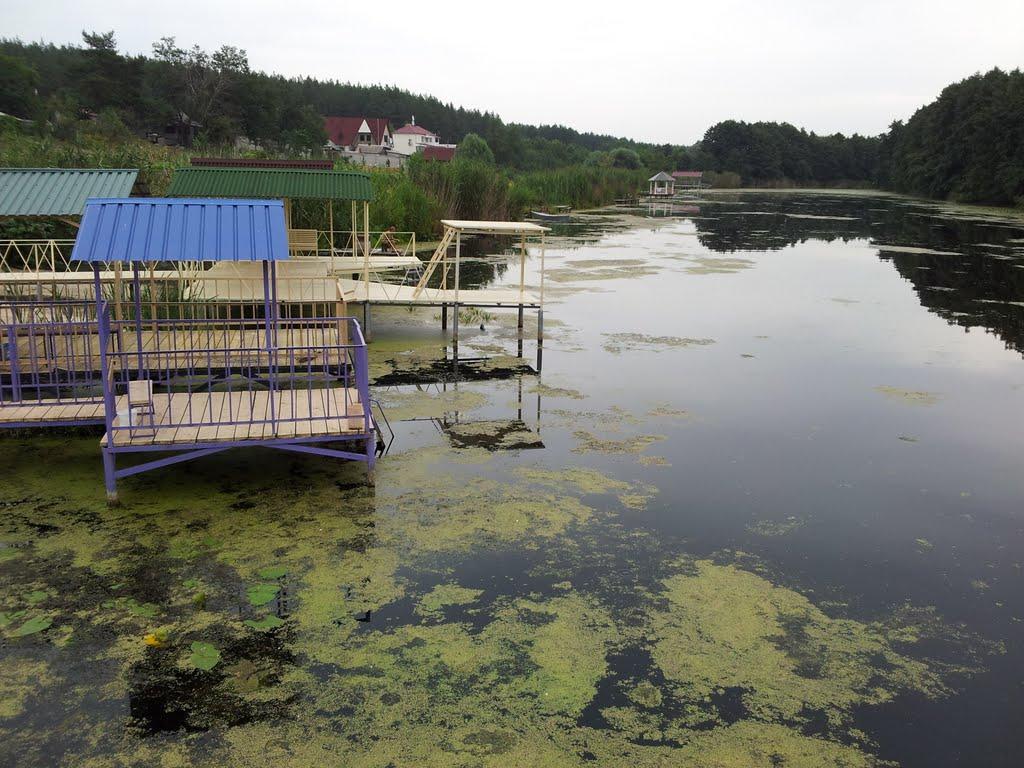 Діброва з panoramio.com - Діброва