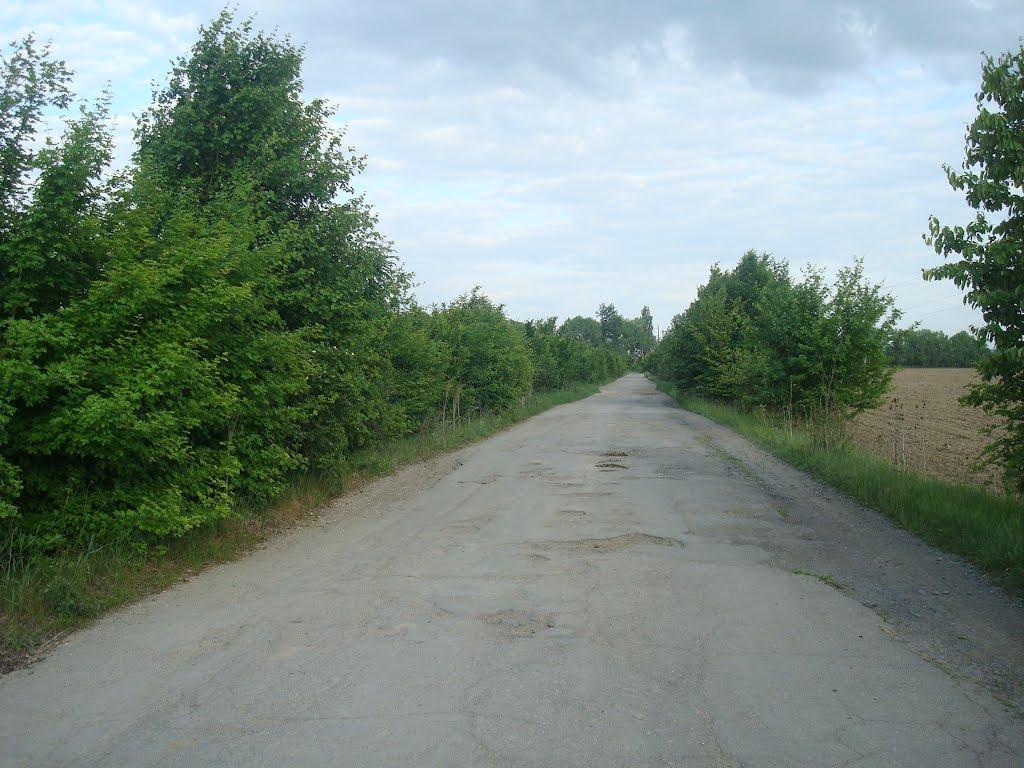 Ставчани з panoramio.com - Ставчаны