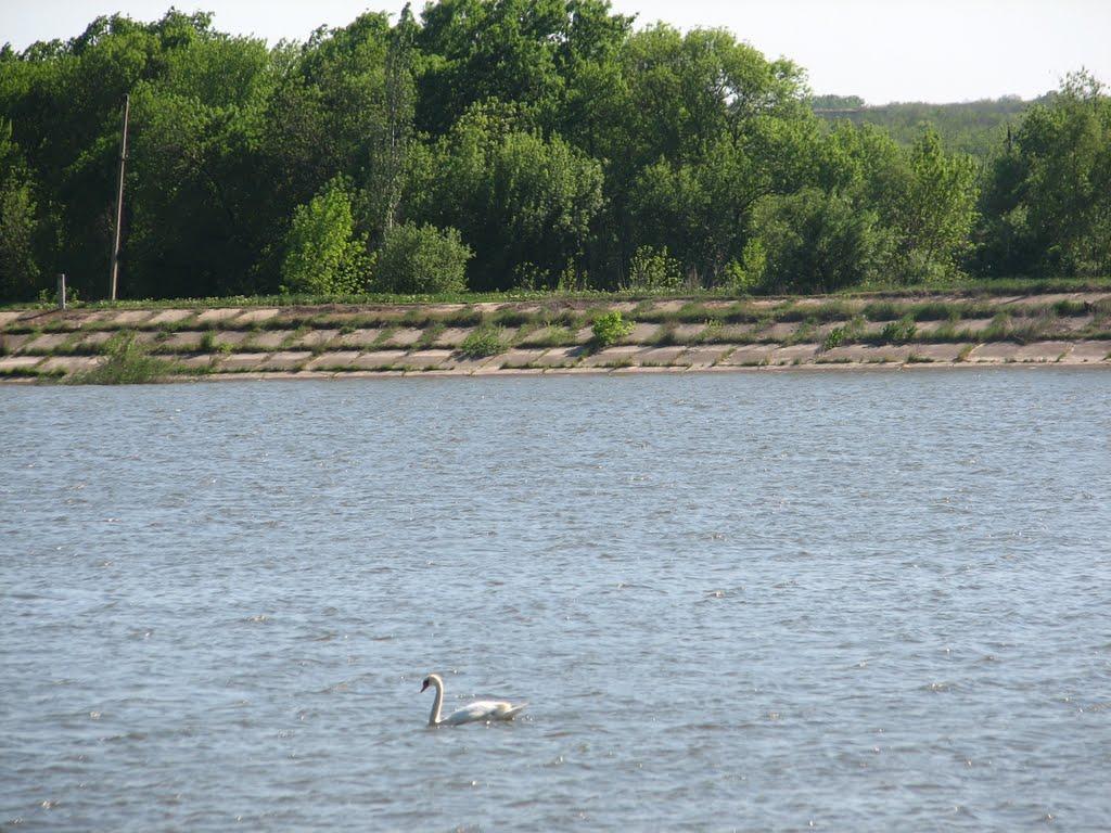 Новомихайлівка з panoramio.com - Novomykhaylivka