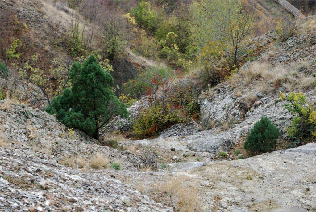 Долина з panoramio.com - Долина
