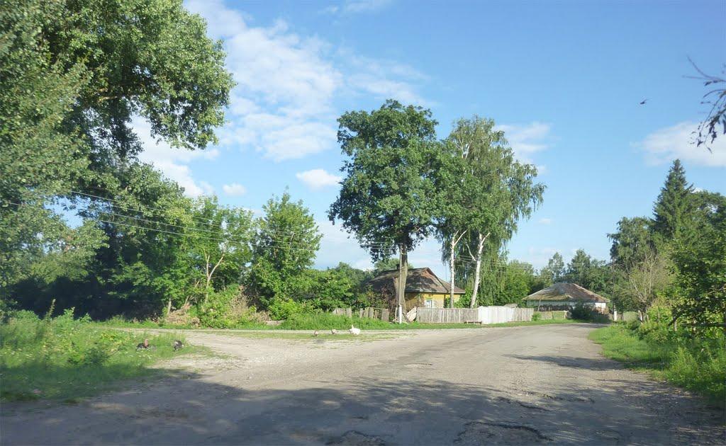 Заньки з panoramio.com - Zanky