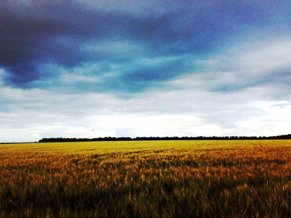 Шахтарськ з panoramio.com - Шахтерск