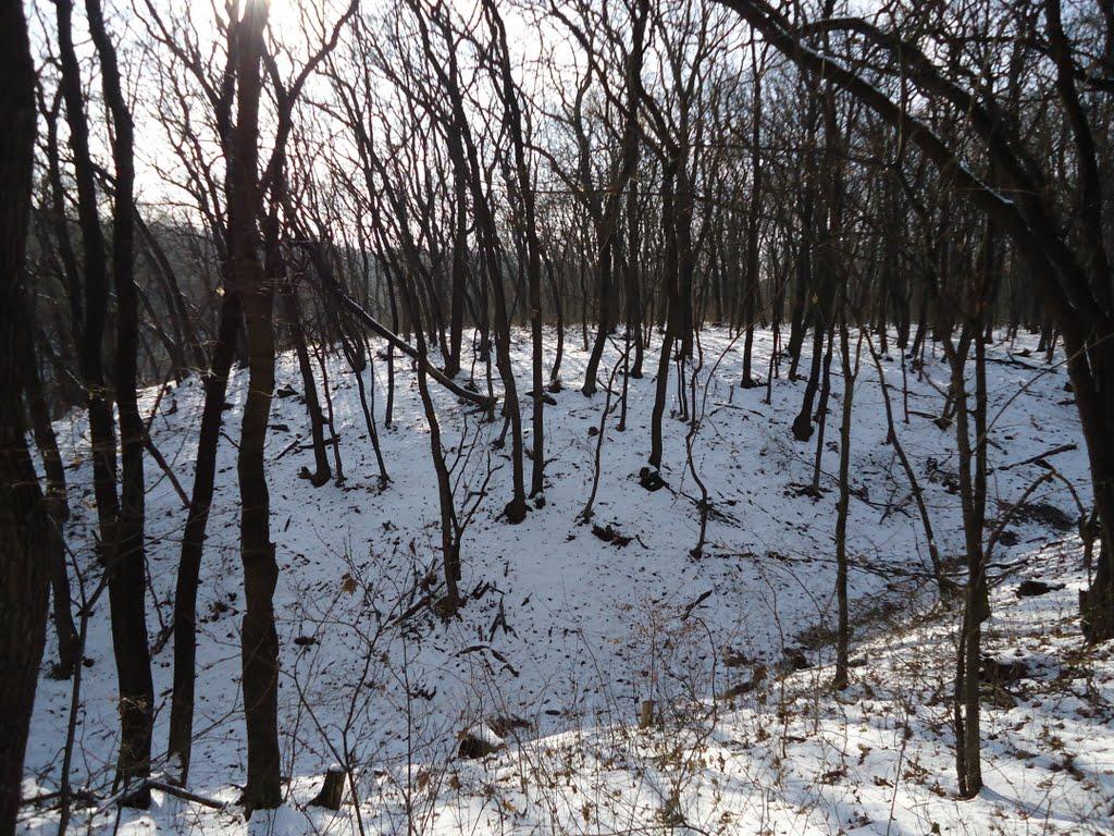 Ломуватка з panoramio.com - Ломуватка