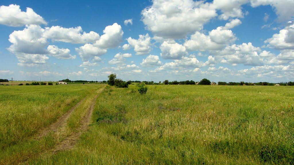 Грушеве з panoramio.com - Грушевое