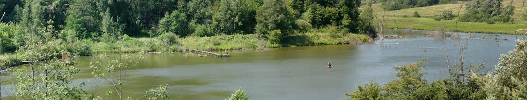 Черниші з panoramio.com - Черниші