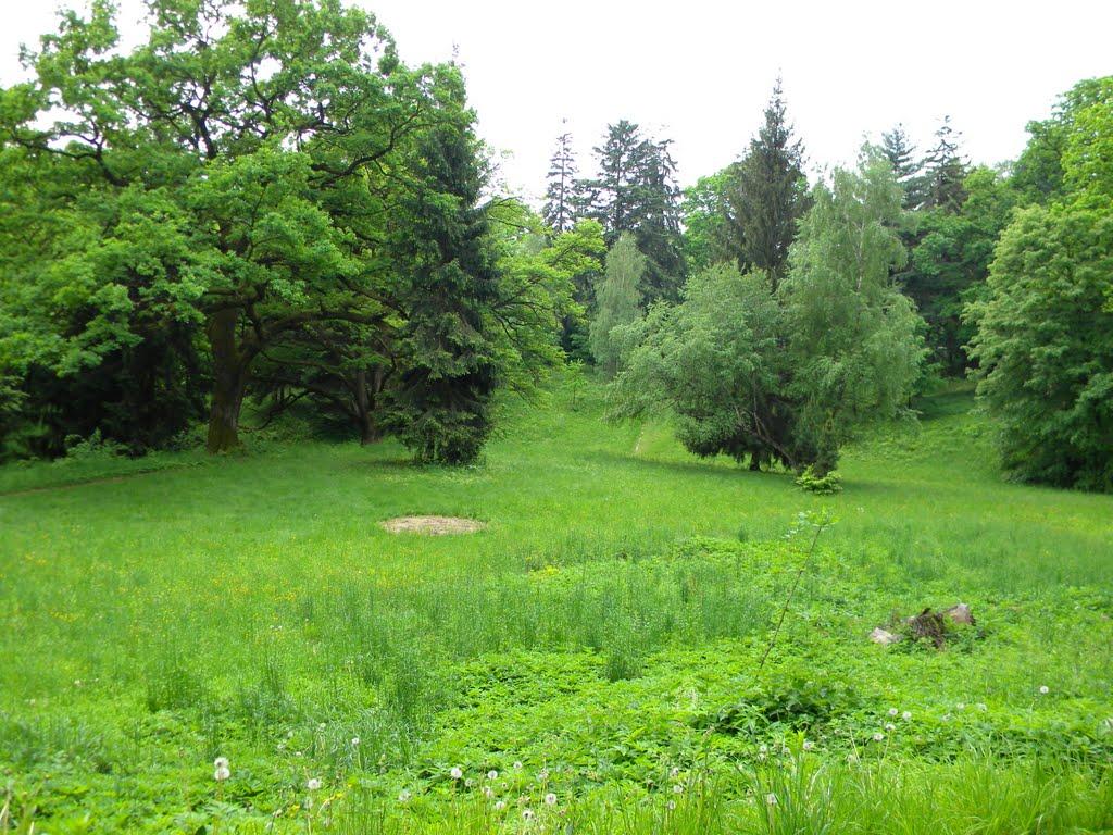 Карпати з panoramio.com - Карпаты