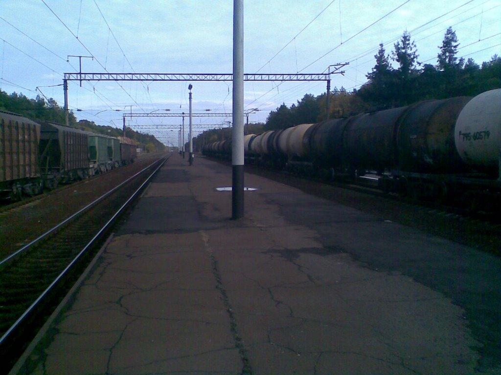 Княжичі з panoramio.com - Княжичі