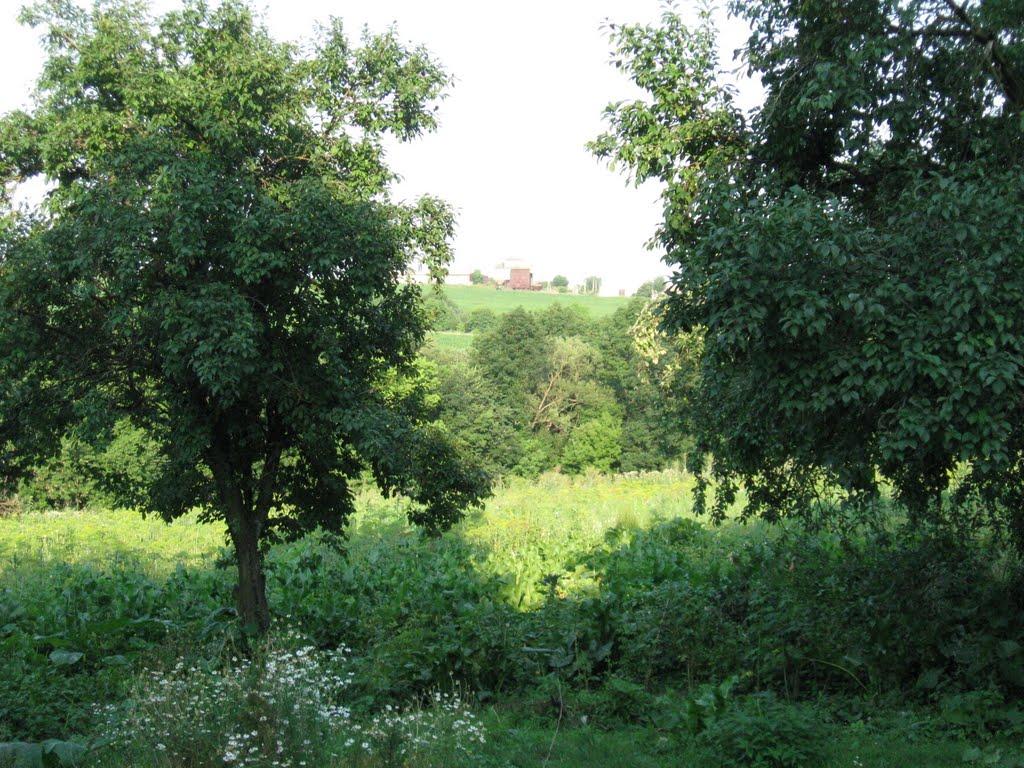 Кожанка з panoramio.com - Кожанка