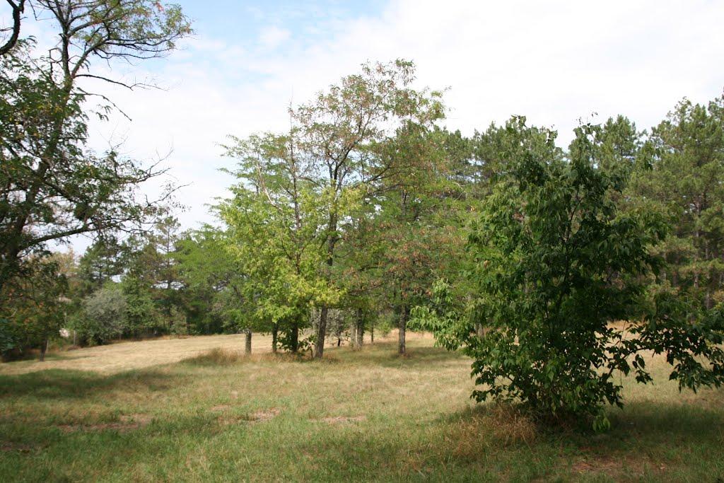 Научний з panoramio.com - Научний