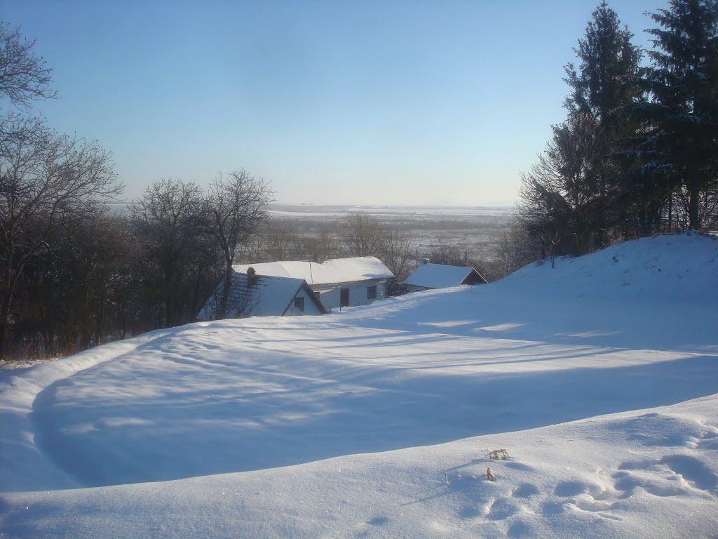 Підсоснів з panoramio.com - Pidsosniv