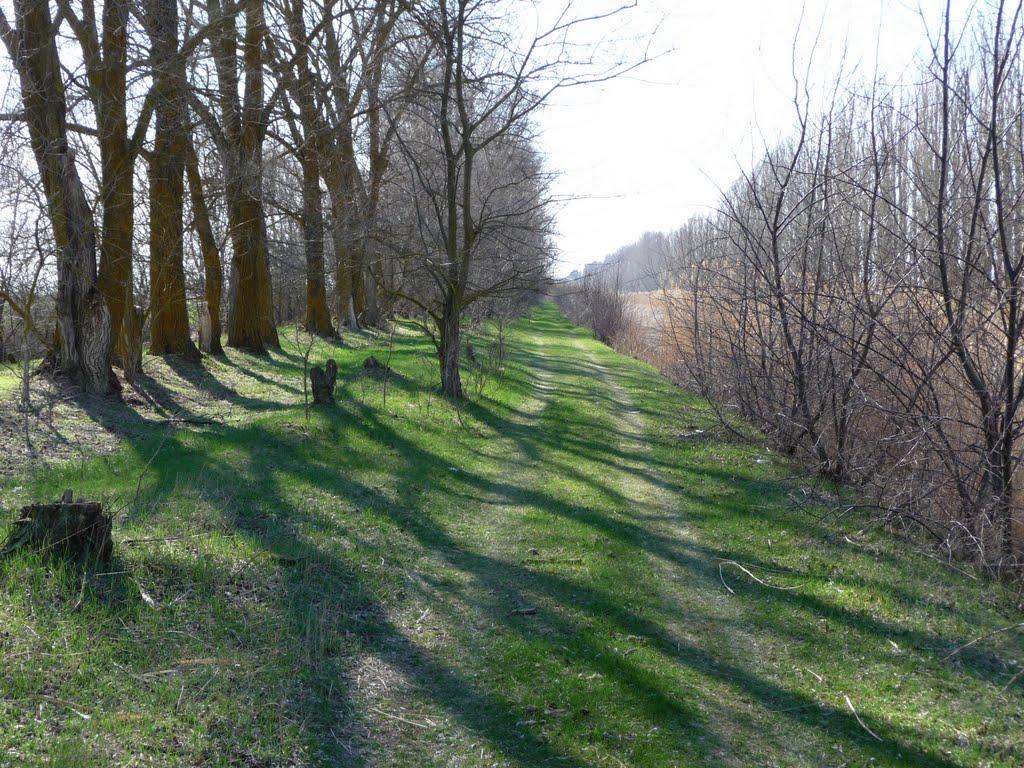 Чернишове з panoramio.com - Чернишове