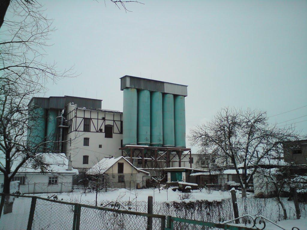 Кам'янка-Бузька з panoramio.com - Каменка-Бугская