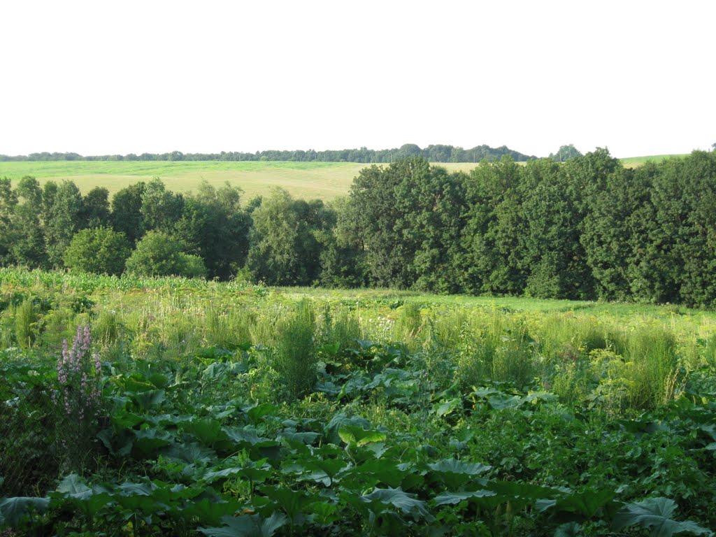 Кожанка з panoramio.com - Кожанка