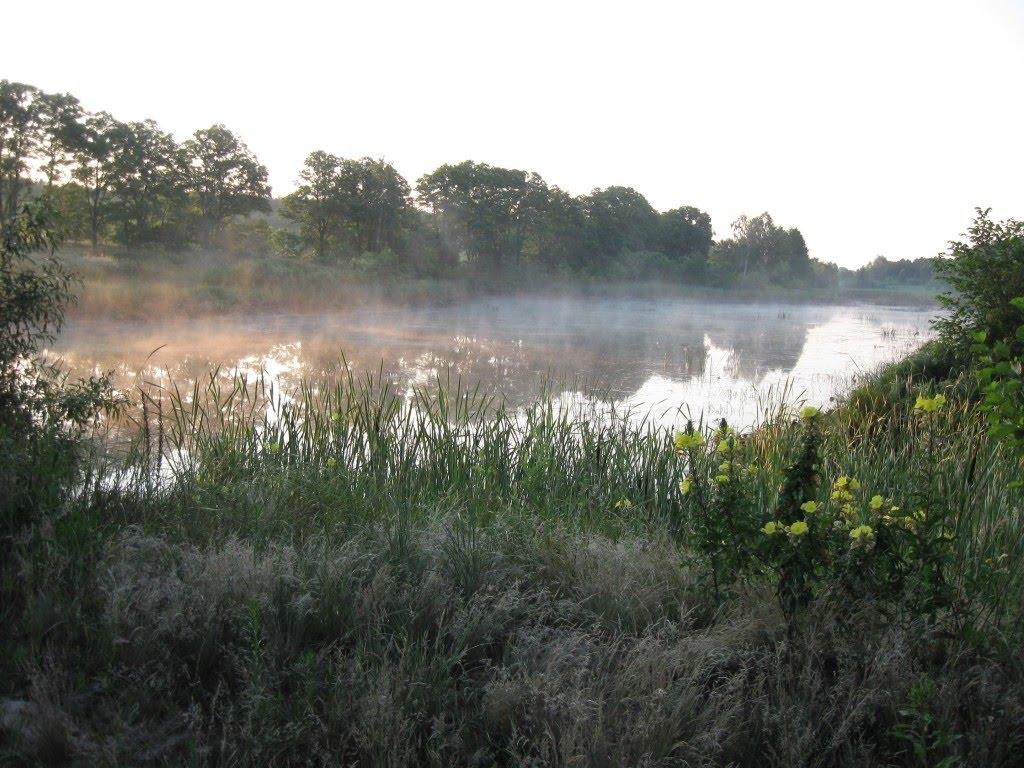 Меньківка з panoramio.com - Меньковка
