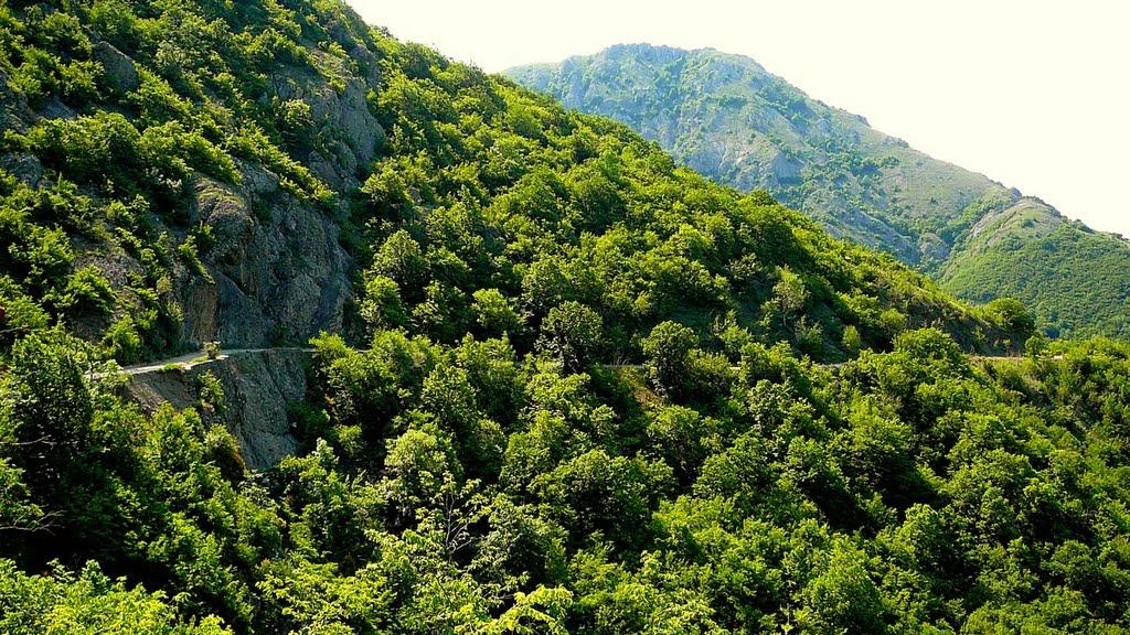 Зеленогір'я з panoramio.com - Зеленогір'я