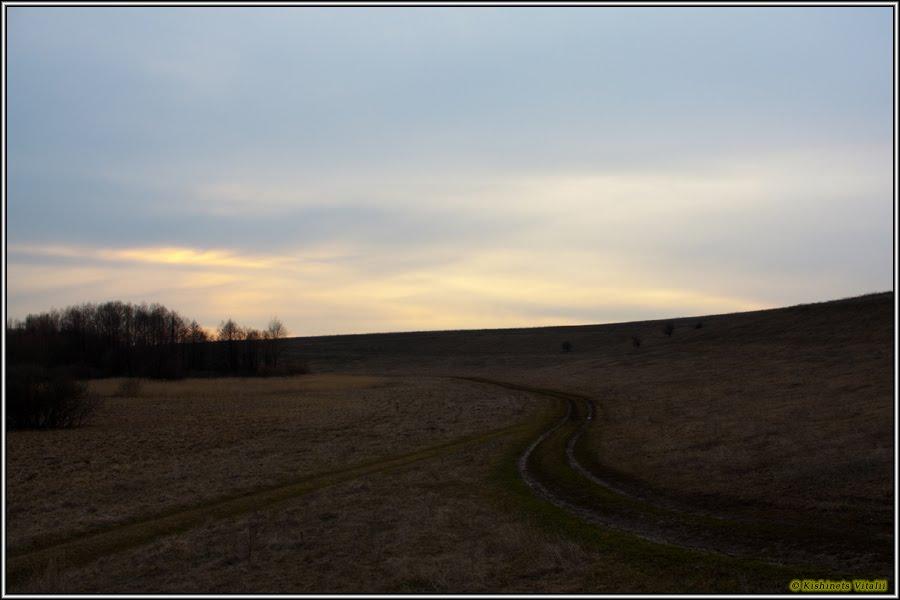 Василівка з panoramio.com - Василівка