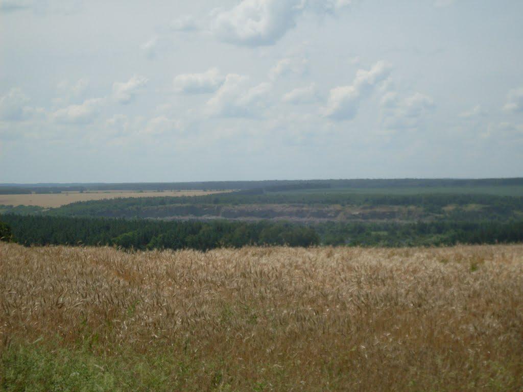 Дмитренки з panoramio.com - Дмитренки