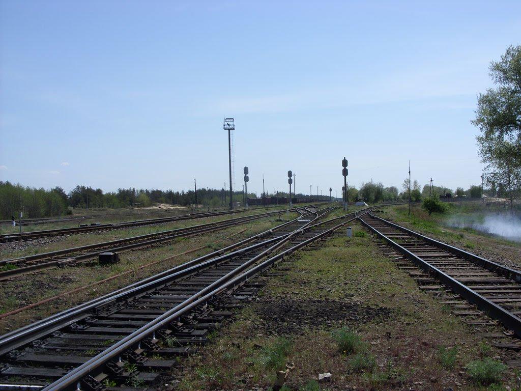 Станично-Луганське з panoramio.com (ч.2) - Станично-Луганське