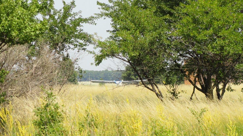 Гриценкове з panoramio.com - Гриценково