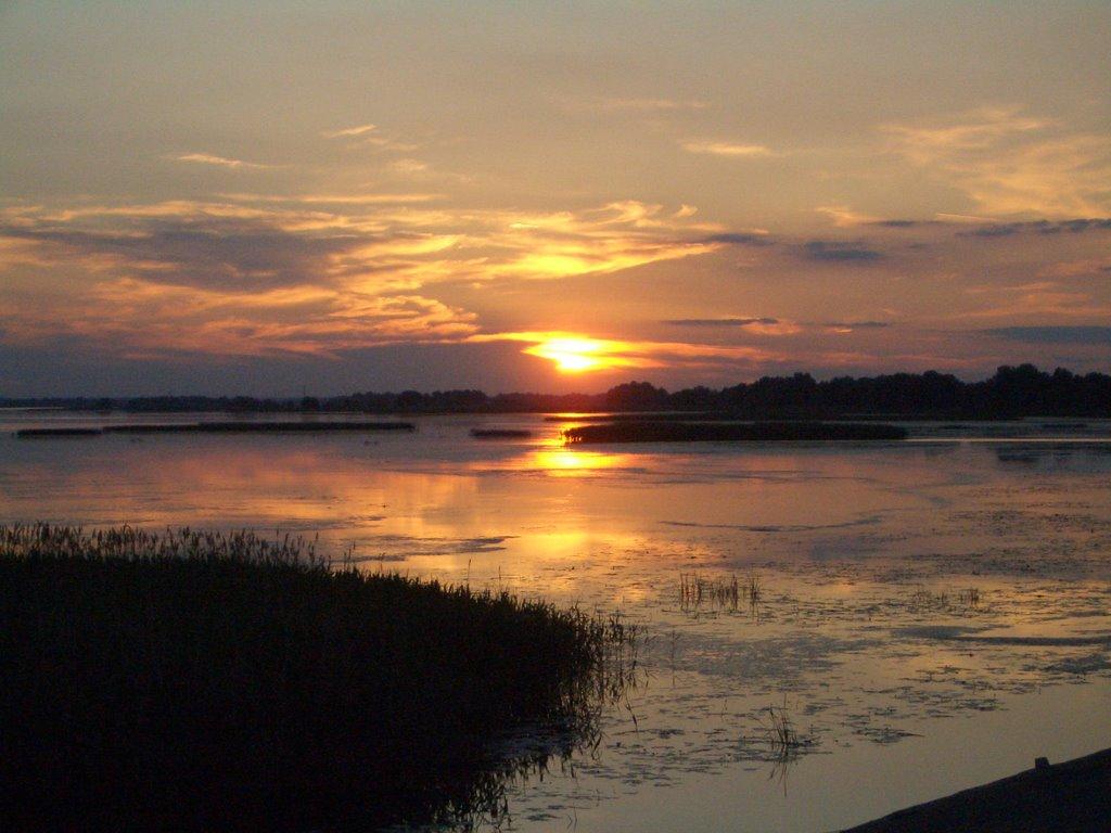 Халеп'я з panoramio.com - Халепье