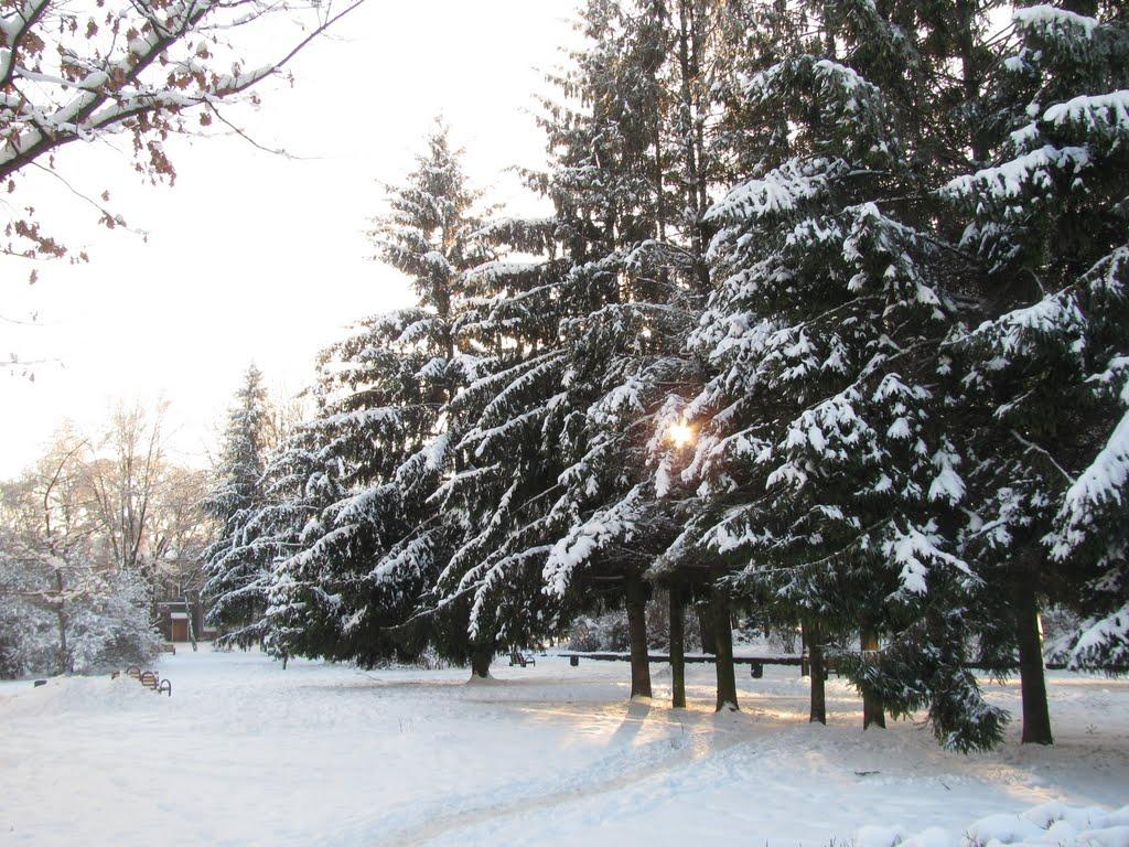 Ковель з panoramio.com (ч.2) - Ковель