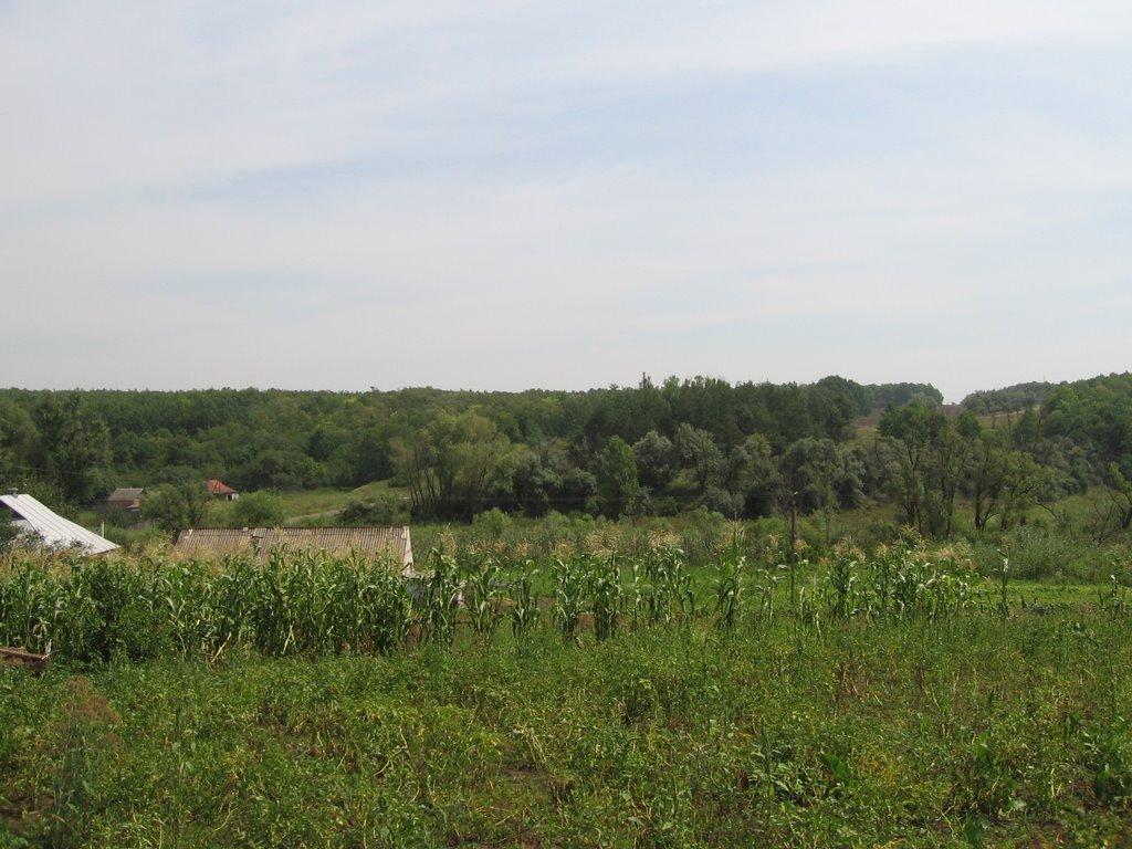 Нижній Бишкин з panoramio.com - Нижній Бишкин