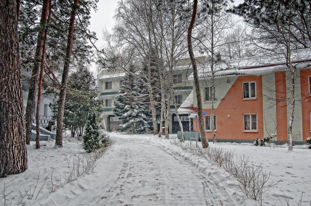 Богородичне з panoramio.com - Богородичное