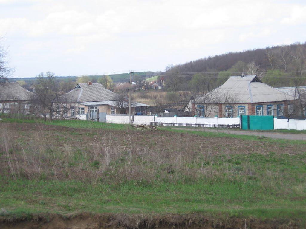 Нижній Бишкин з panoramio.com - Нижній Бишкин