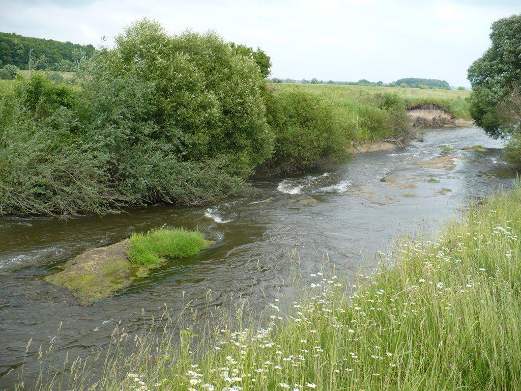 Бруслинів з panoramio.com - Бруслинів
