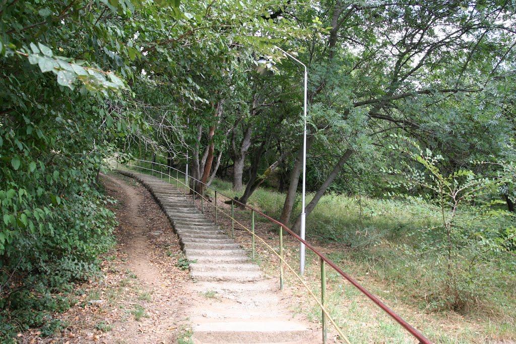 Научний з panoramio.com - Научний