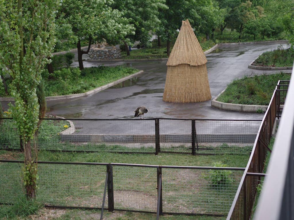 Білогірськ з panoramio.com - Білогірськ