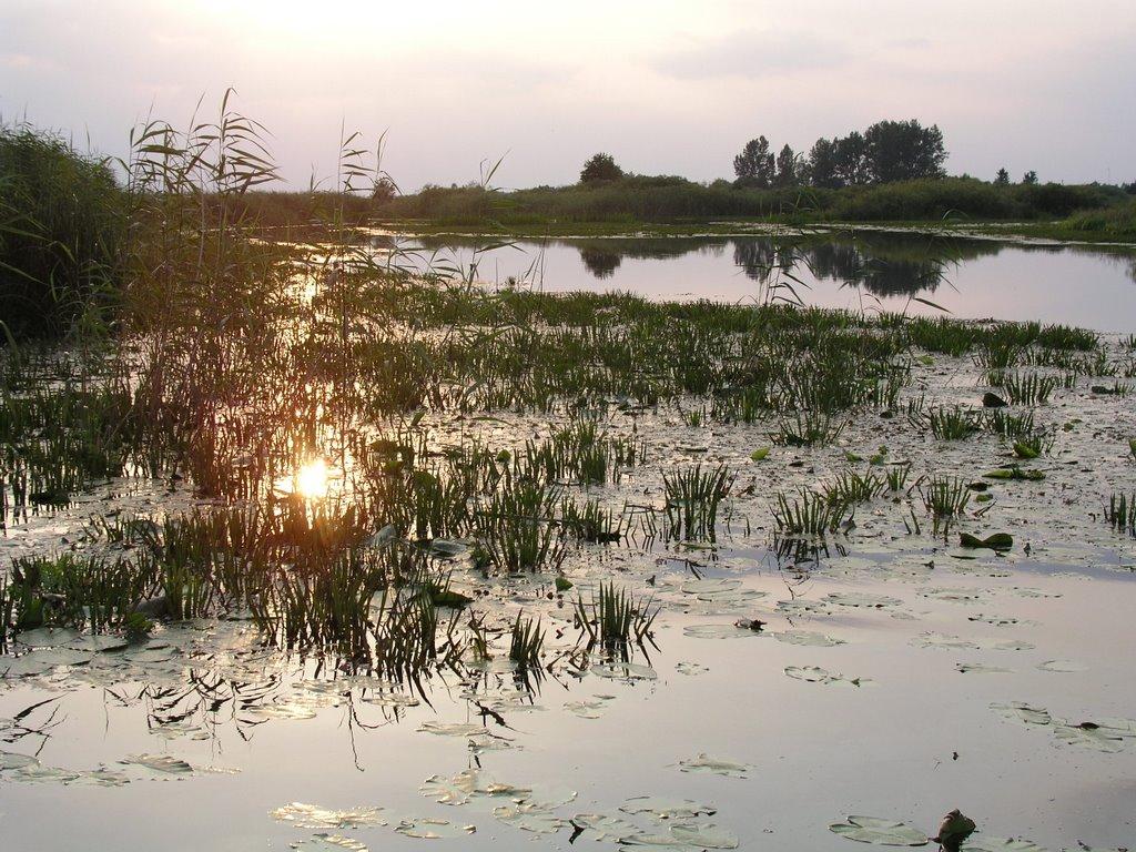 Сваловичі з panoramio.com - Svalovychi