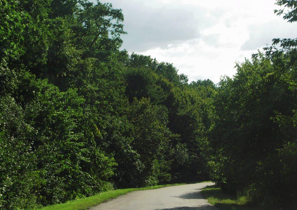 Іванівка з panoramio.com - Іванівка