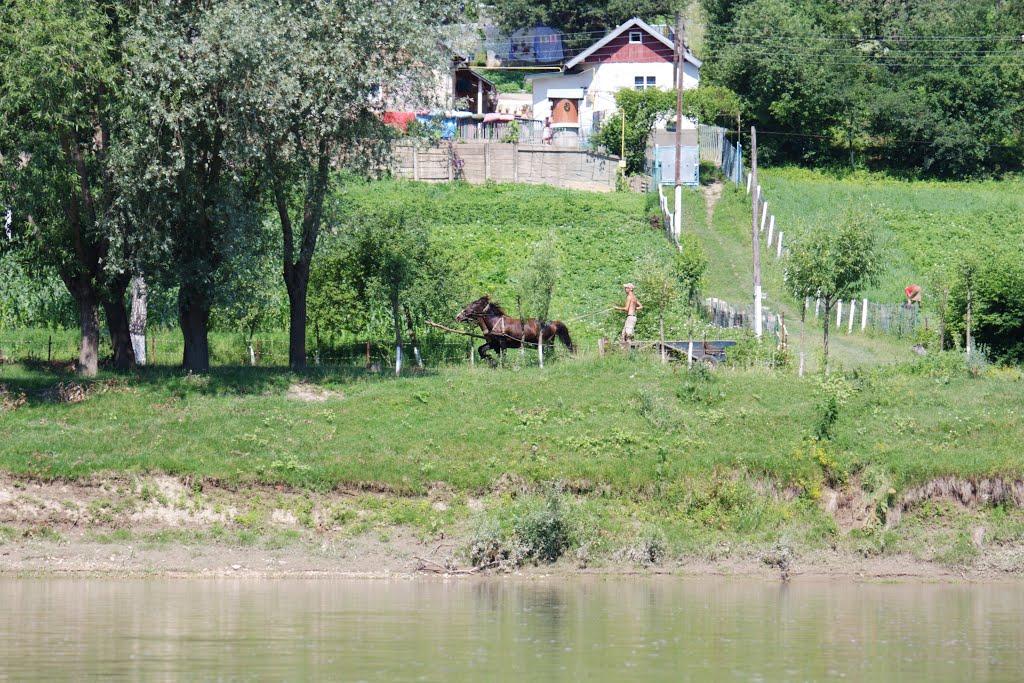 Долина з panoramio.com - Долина