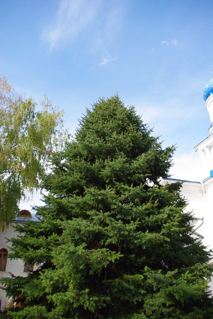 Святогірськ з panoramio.com - Святогорск
