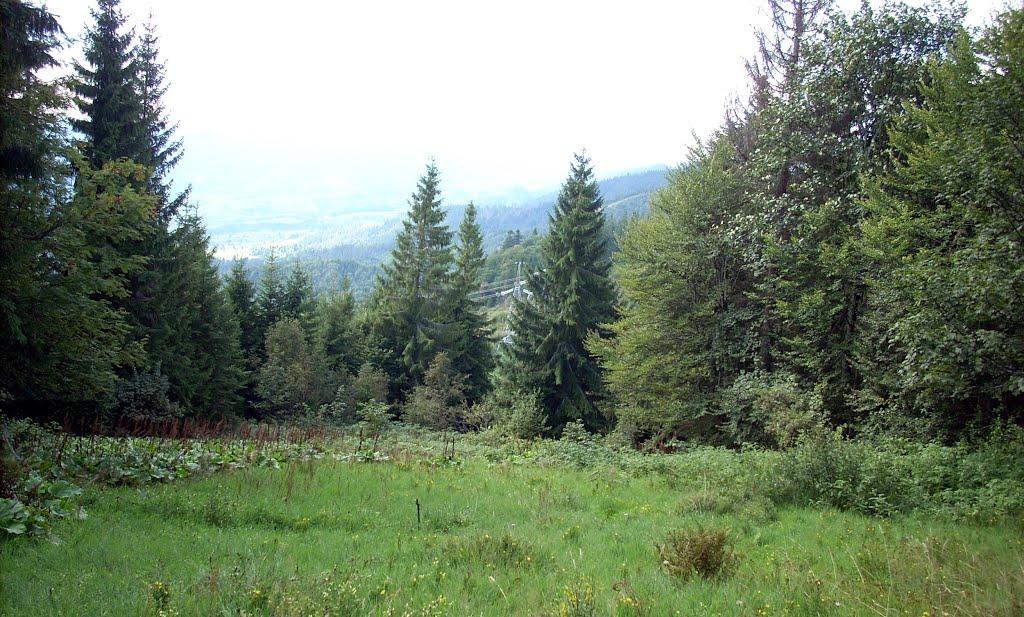 Либохорa з panoramio.com - Либохорa