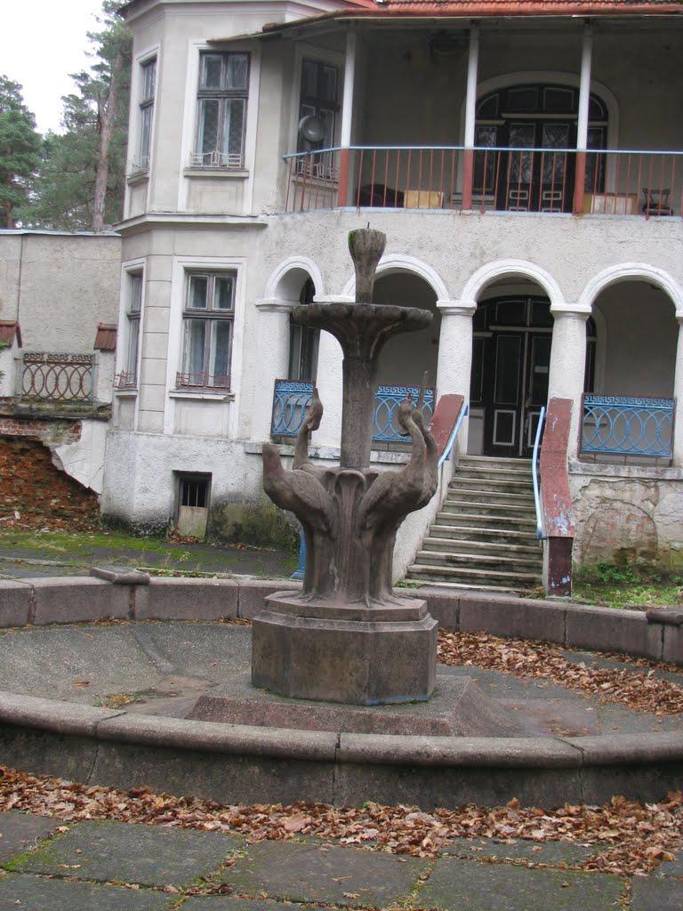 Брюховичі з panoramio.com - Брюховичі