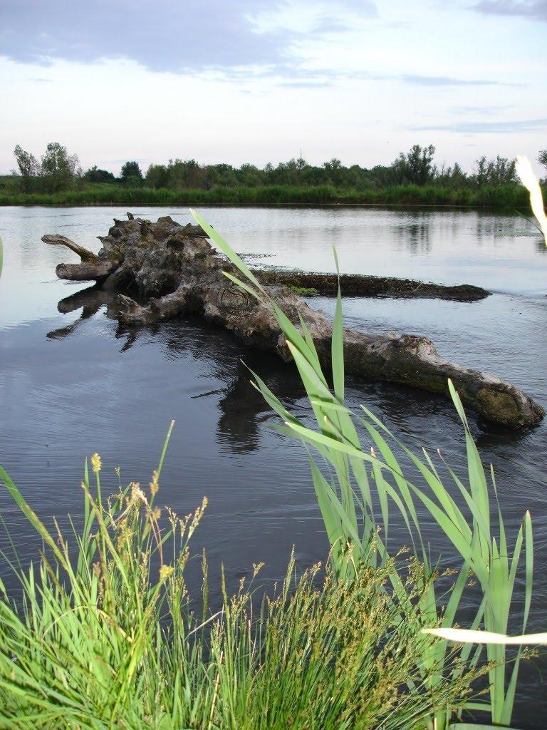 Дякове з panoramio.com - Дякове