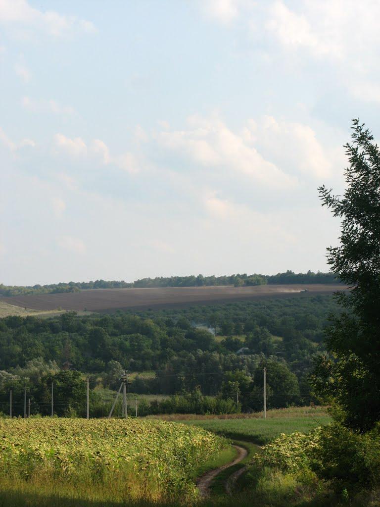 Чернече з panoramio.com - Чернече