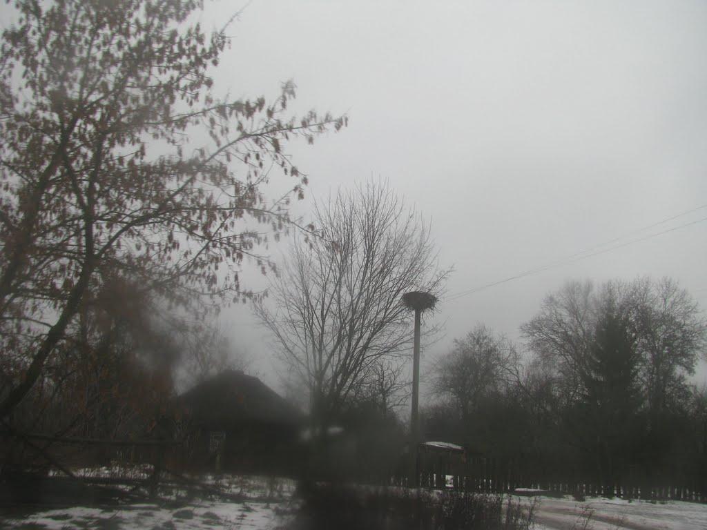 Кукарі з panoramio.com - Кукари