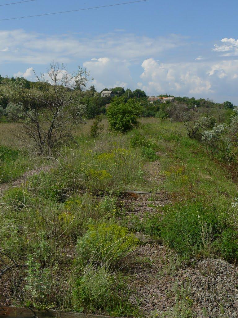 Плавні з panoramio.com - Плавні
