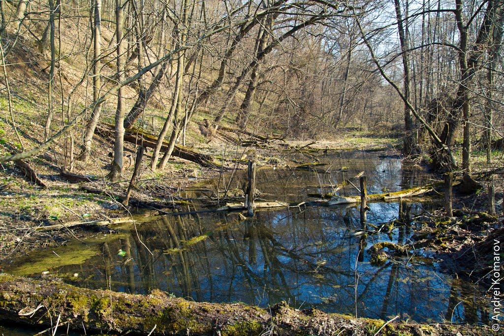 Мохнач з panoramio.com - Мохнач