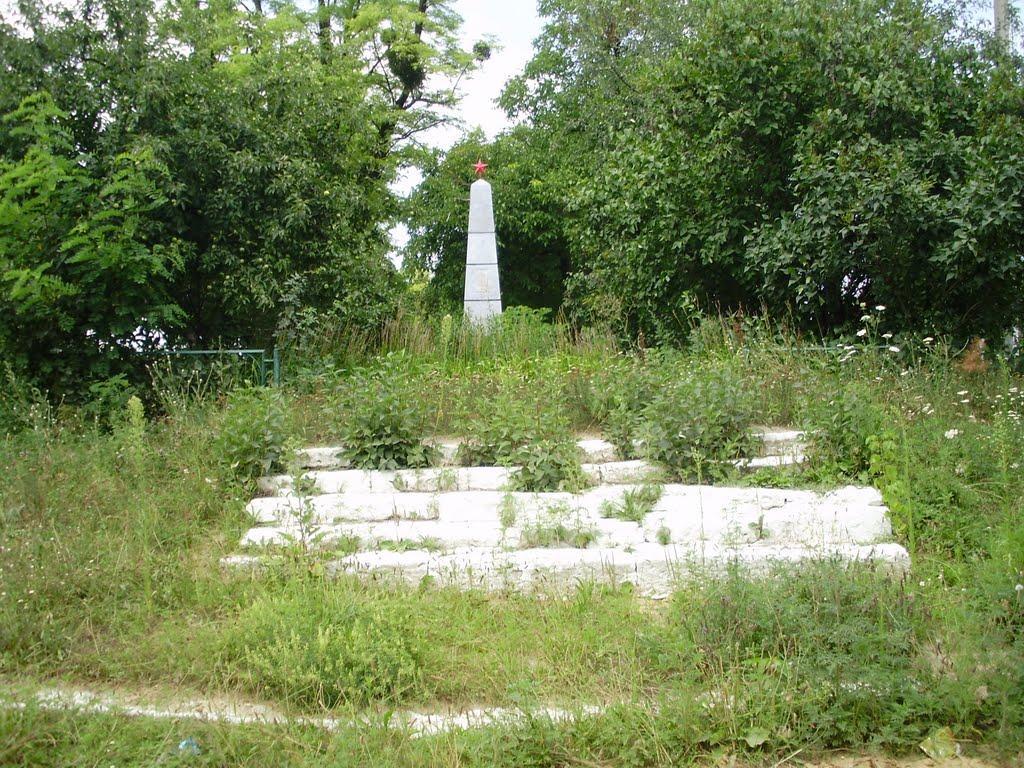 Дмитрашківка з panoramio.com - Дмитрашківка