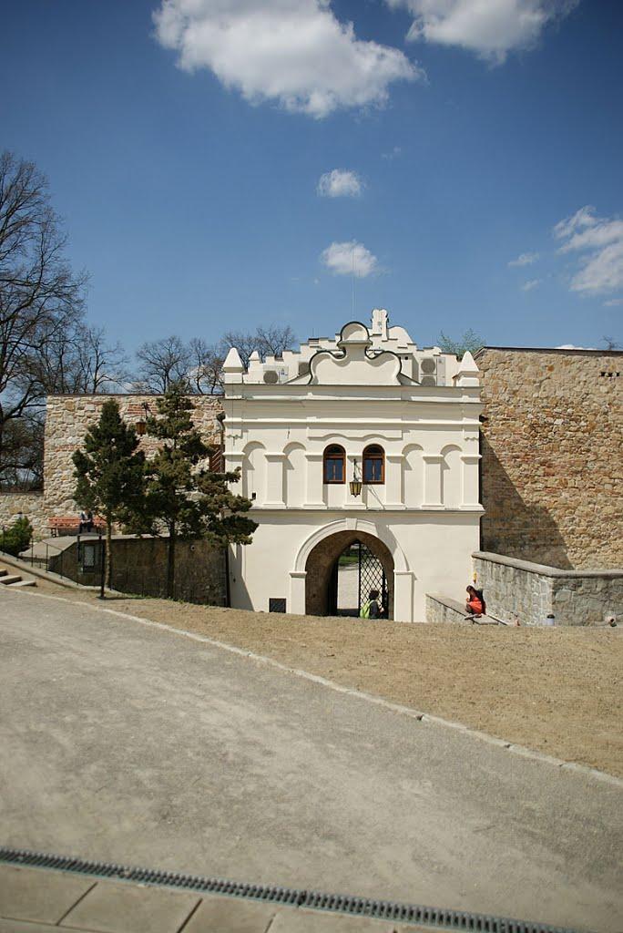 Нижанковичі з panoramio.com (ч.2) - Nyzhankovychi