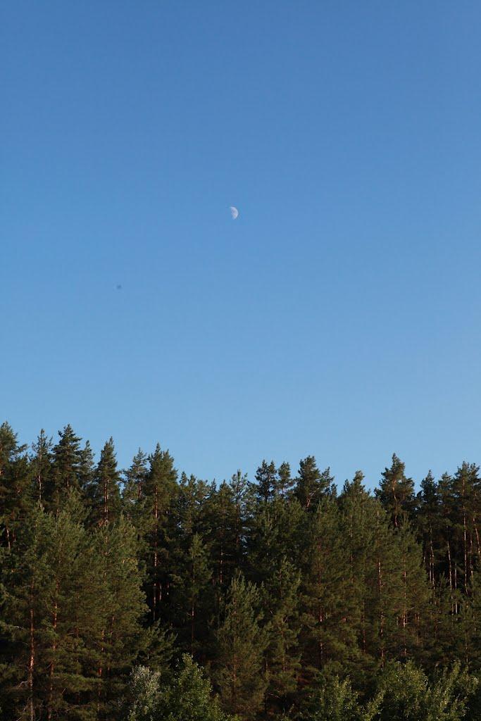 Щурове з panoramio.com - Щурово