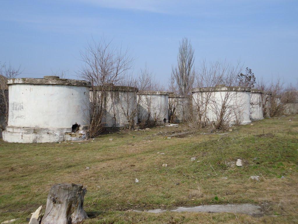 Комінтернівське з panoramio.com - Комінтернівське