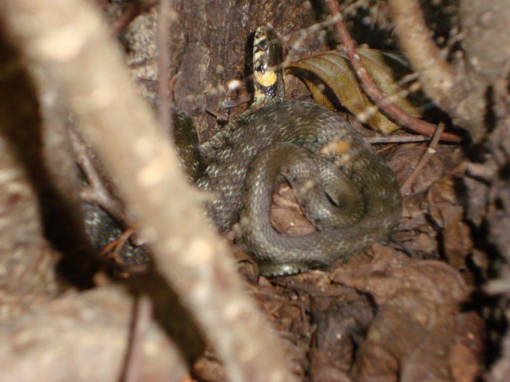 Заозер'я з panoramio.com - Заозерье