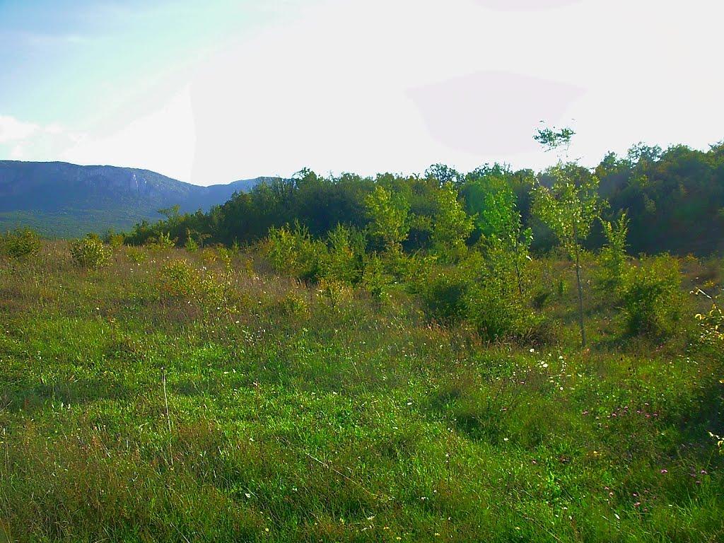 Соколине з panoramio.com (ч.2) - Соколиное