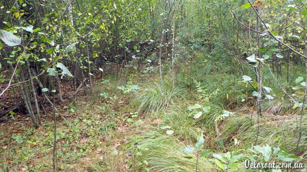 Червоносілка з panoramio.com - Червоносілка